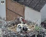 Capi_Dubne_20250514_163004.jpg