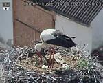 Capi_Dubne_20250514_164003.jpg