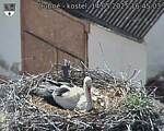 Capi_Dubne_20250514_164503.jpg