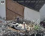 Capi_Dubne_20250514_171003.jpg