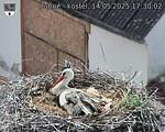 Capi_Dubne_20250514_173002.jpg