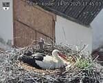 Capi_Dubne_20250514_174503.jpg