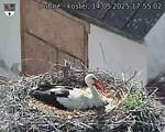 Capi_Dubne_20250514_175502.jpg