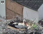 Capi_Dubne_20250514_180003.jpg