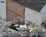 Capi_Dubne_20250514_180504.jpg