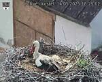 Capi_Dubne_20250514_182502.jpg