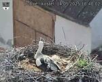 Capi_Dubne_20250514_184002.jpg