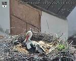 Capi_Dubne_20250514_184503.jpg