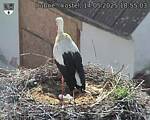 Capi_Dubne_20250514_185503.jpg