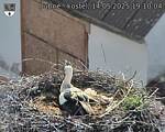 Capi_Dubne_20250514_191004.jpg