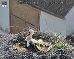 Capi_Dubne_20250514_191503.jpg
