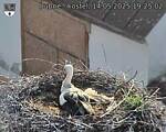 Capi_Dubne_20250514_192502.jpg