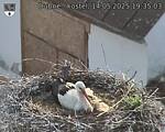 Capi_Dubne_20250514_193503.jpg