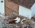 Capi_Dubne_20250514_202502.jpg
