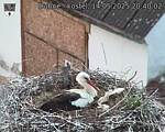 Capi_Dubne_20250514_204002.jpg