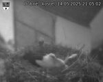 Capi_Dubne_20250514_210502.jpg