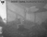Capi_Dubne_20250514_212002.jpg