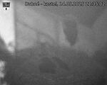 Capi_Dubne_20250514_213502.jpg