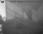 Capi_Dubne_20250514_214003.jpg