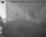 Capi_Dubne_20250514_214502.jpg