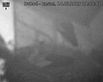 Capi_Dubne_20250514_215502.jpg
