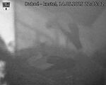 Capi_Dubne_20250514_220502.jpg