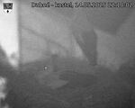 Capi_Dubne_20250514_221002.jpg