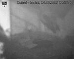 Capi_Dubne_20250514_221503.jpg