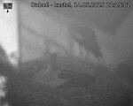 Capi_Dubne_20250514_222502.jpg
