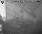Capi_Dubne_20250514_223502.jpg