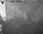 Capi_Dubne_20250514_224003.jpg