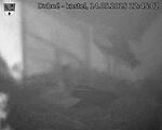 Capi_Dubne_20250514_224502.jpg