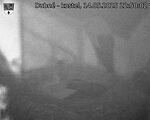 Capi_Dubne_20250514_225002.jpg