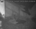 Capi_Dubne_20250514_230002.jpg