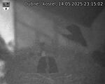 Capi_Dubne_20250514_231502.jpg