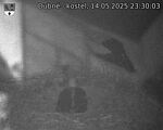 Capi_Dubne_20250514_233003.jpg