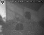 Capi_Dubne_20250514_233502.jpg