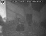 Capi_Dubne_20250514_234003.jpg