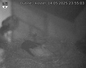 Capi_Dubne_20250514_235503.jpg (1350 x 1080)