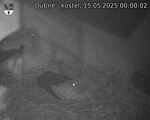 Capi_Dubne_20250515_000002.jpg