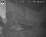 Capi_Dubne_20250515_011503.jpg