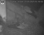 Capi_Dubne_20250515_015002.jpg