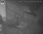 Capi_Dubne_20250515_020502.jpg