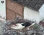 Capi_Dubne_20250515_054003.jpg