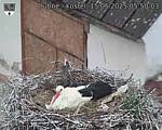 Capi_Dubne_20250515_055003.jpg