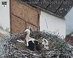 Capi_Dubne_20250515_070003.jpg
