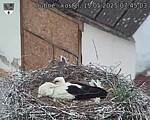 Capi_Dubne_20250515_074503.jpg