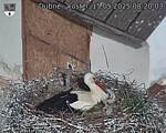 Capi_Dubne_20250515_082003.jpg