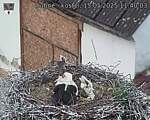 Capi_Dubne_20250515_114003.jpg