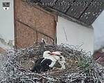 Capi_Dubne_20250515_122002.jpg